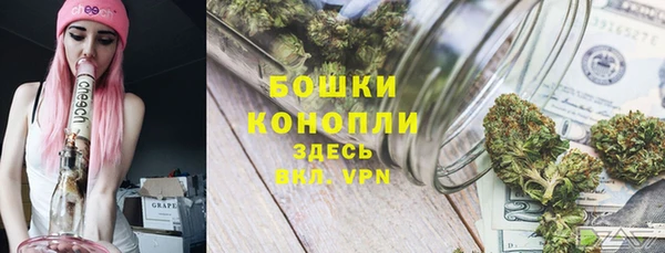 прущие грибы Алзамай