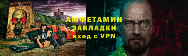 прущие грибы Алзамай