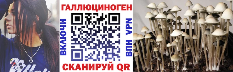 Галлюциногенные грибы GOLDEN TEACHER  продажа наркотиков  Москва 
